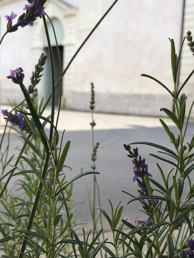 Fontevraud Maison De Ville Bnb Kültér fotó
