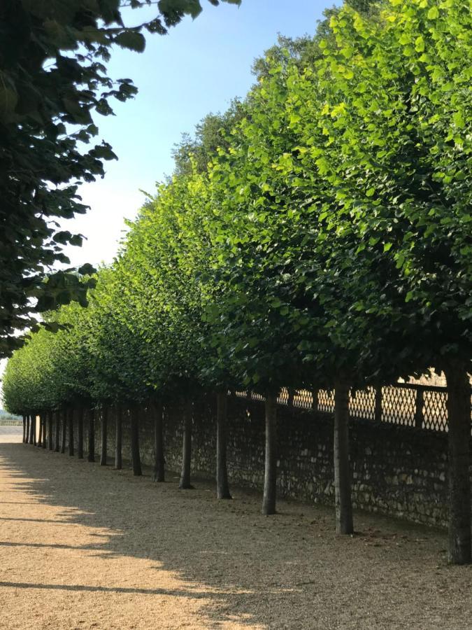 Fontevraud Maison De Ville Bnb Kültér fotó